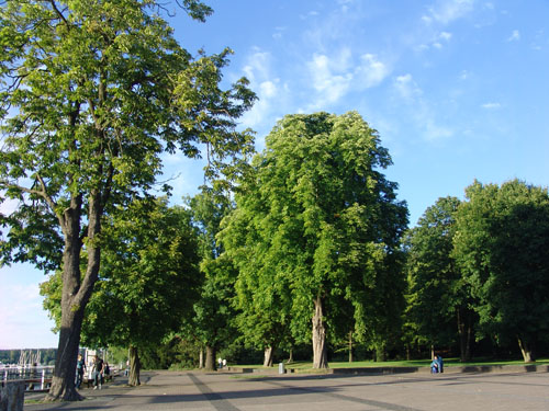 BERLÍN08 (159) Wannsee